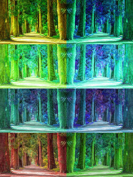 Dynamic colors of inner forest in abstract symmetry arrangement using Photoshop Adjustment Layers to explore color and mood.