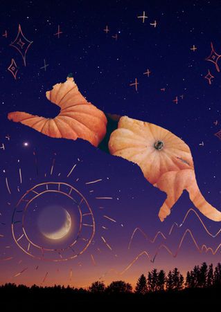 Student Photoshop composition featuring custom clipping masks, layered imagery, and cat in space themed visual design.
