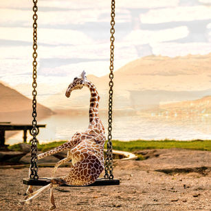Student-created digital artwork featuring a creatively posed giraffe on a swing in an imaginative environment using Photoshop Puppet Warp, compositing, and visual storytelling techniques.