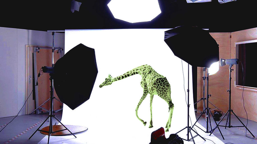 Student-created digital artwork featuring a creatively posed giraffe in an imaginative environment using Photoshop Puppet Warp, compositing, and visual storytelling techniques.