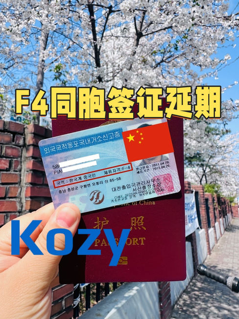 F4签证延期
