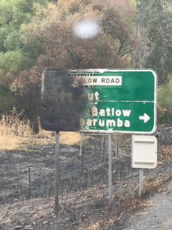 This tells the story! January 2020