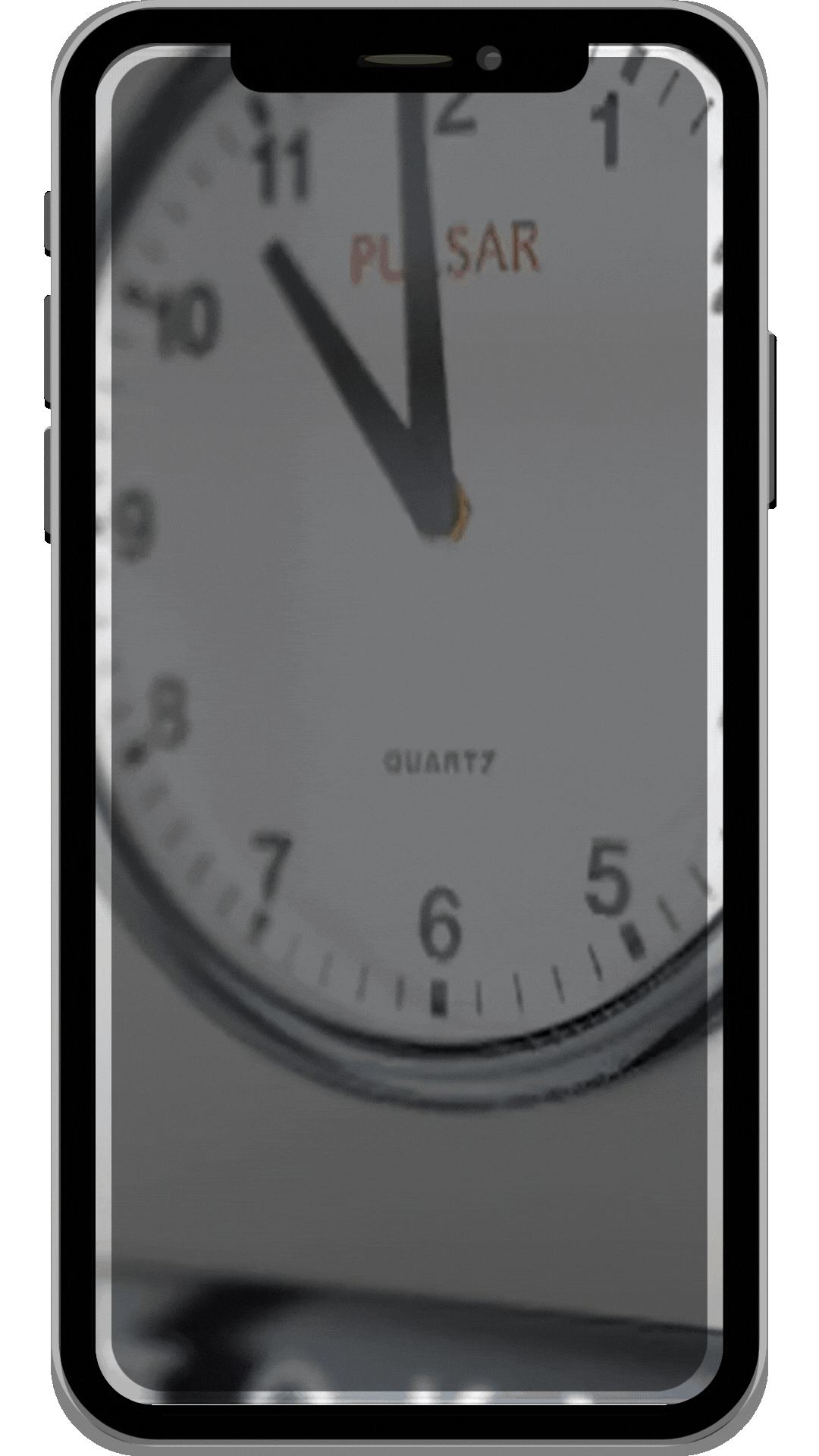 Gif Pinewood Header.gif