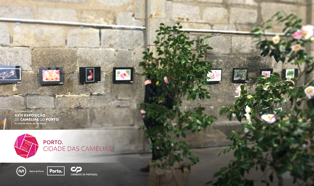 Festival_das_Camelias_02.png
