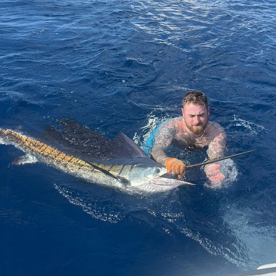 "Inshore fishing on Cowboy boat in Manuel Antonio"
"Fishing for snapper and roosterfish along the coast"
"Family-friendly fishing adventure on the Cowboy"
"Exploring Costa Rica’s inshore waters by boat"