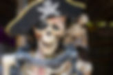 pirate-pets-myth-or-reality-1050x700.jpg