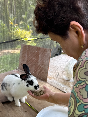 Persona mayor interactuando con un conejo durante una actividad de BiDi