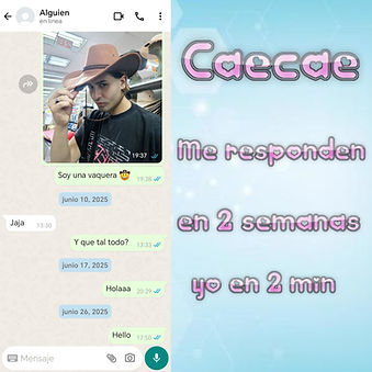 Me responden en 2 semanas yo en 2 min.jpg