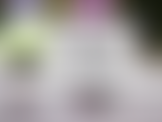 My Reason. My "Why."