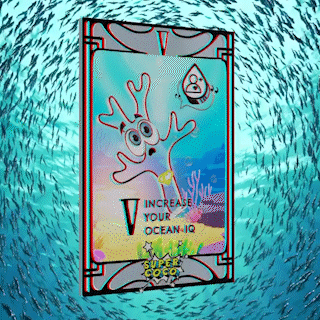 5.gif