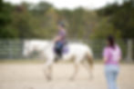 Lilly_06.jpg