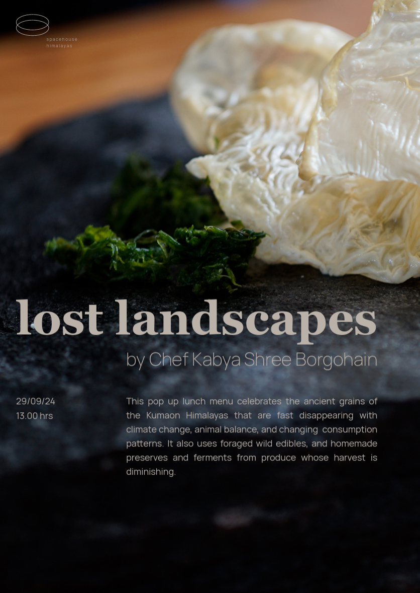 The Lost Landscapes.png