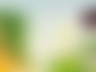 How To Conquer Anxiety