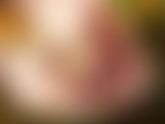 The Best and Healthiest Walnuts are The Ones with Worms Inside