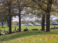 problem with hybrid cars that people don’t know