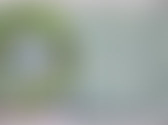 2022 Walt Disney World Theme Park Maps