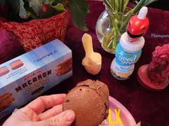 Trader Joe's Macaron Ice Cream Sandwiches 