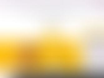 Sprint Credit Check Scam