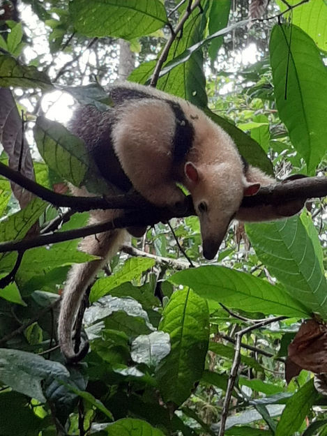 WhatsApp Image 2026-01-21 at 14.10.05 (1).jpeg