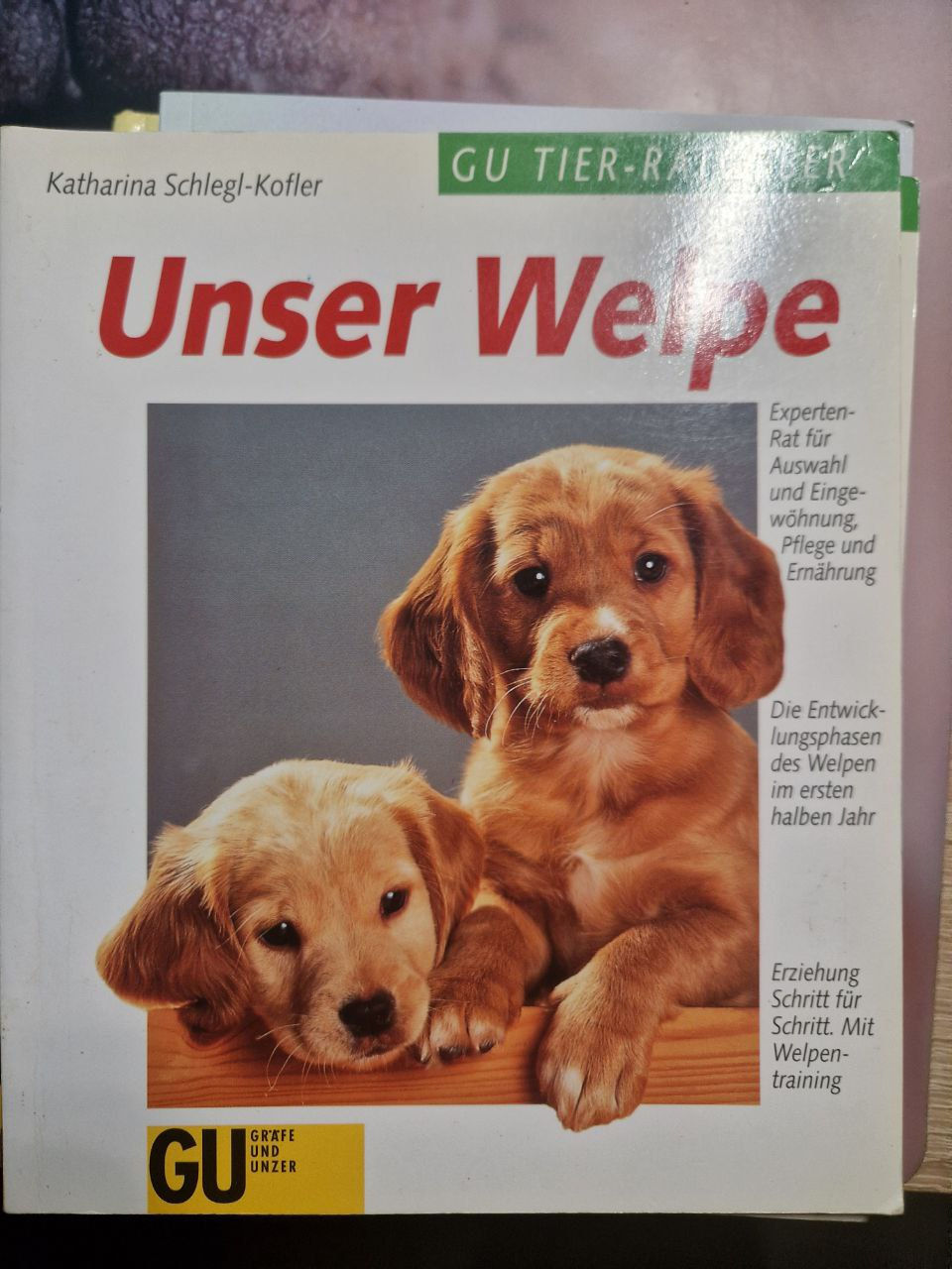 Unser Welpe