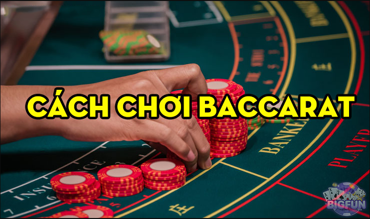 Tổng hợp các kỹ thuật chơi bài Baccarat hiệu quả nhất
content media