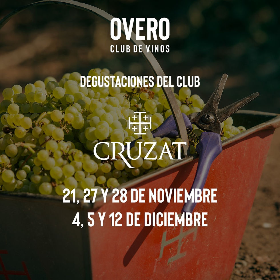 12/12 - DEGUSTACIÓN exclusiva para MIEMBROS DEL CLUB DE VINOS