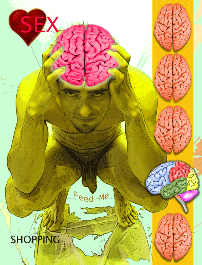 Sex On The Brain
