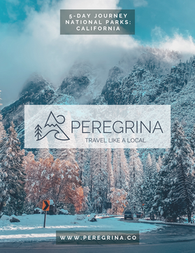 5-Day Journey National Parks: California