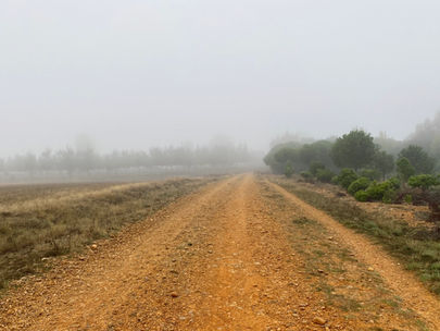 Camino de Santiago Day 20: Reliegos