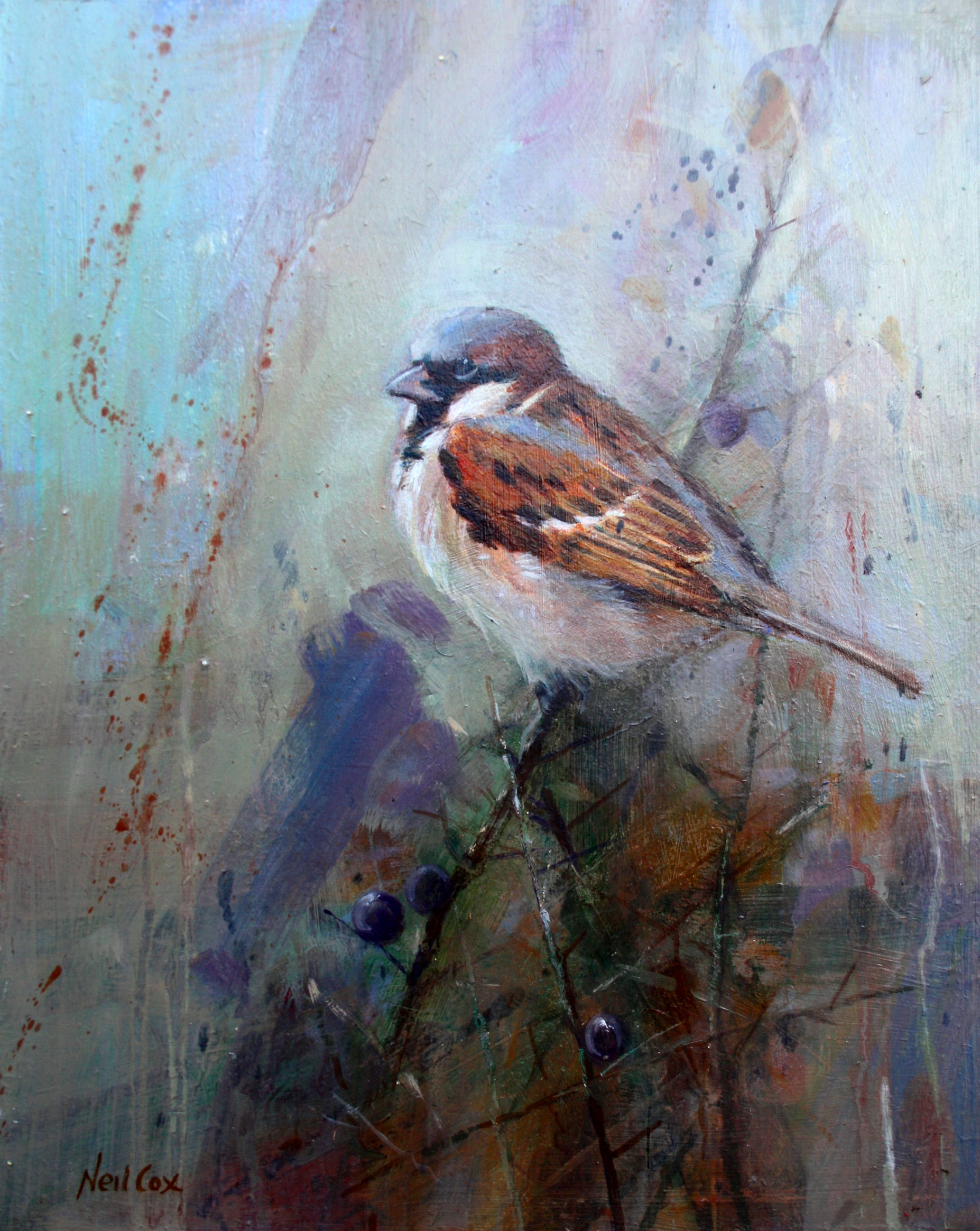 Cock Sparrow Study