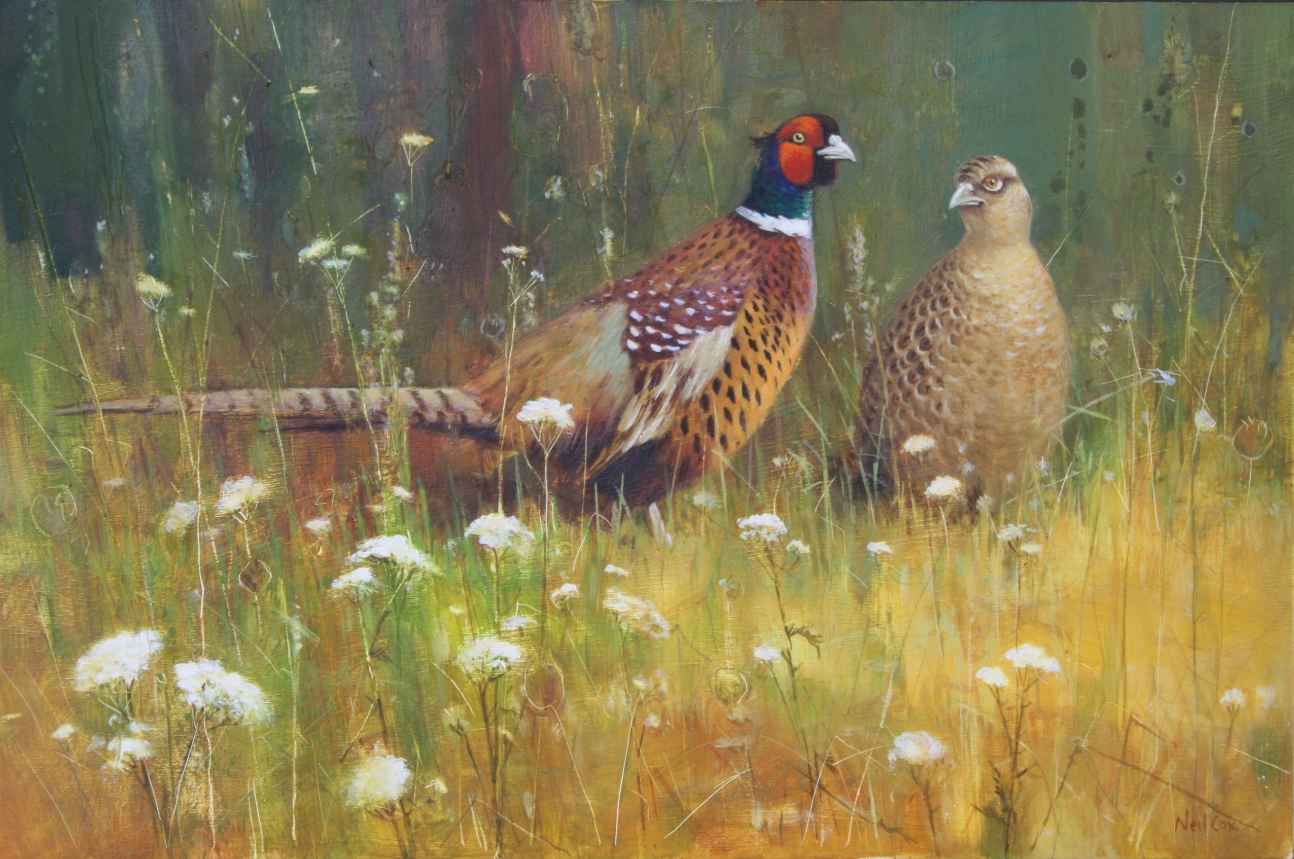 Summer Meadow, Pheasant