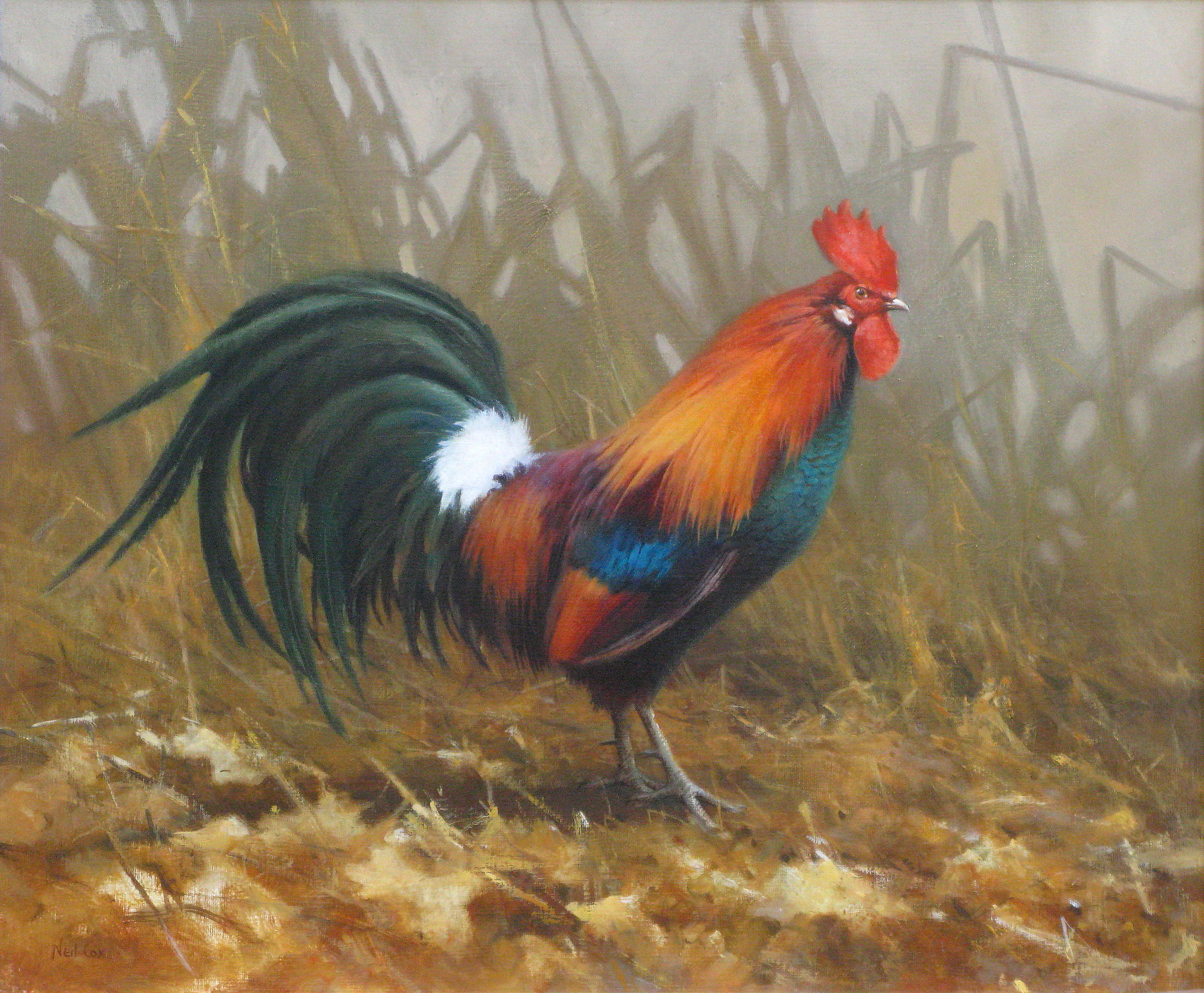 Jungle Fowl Rooster