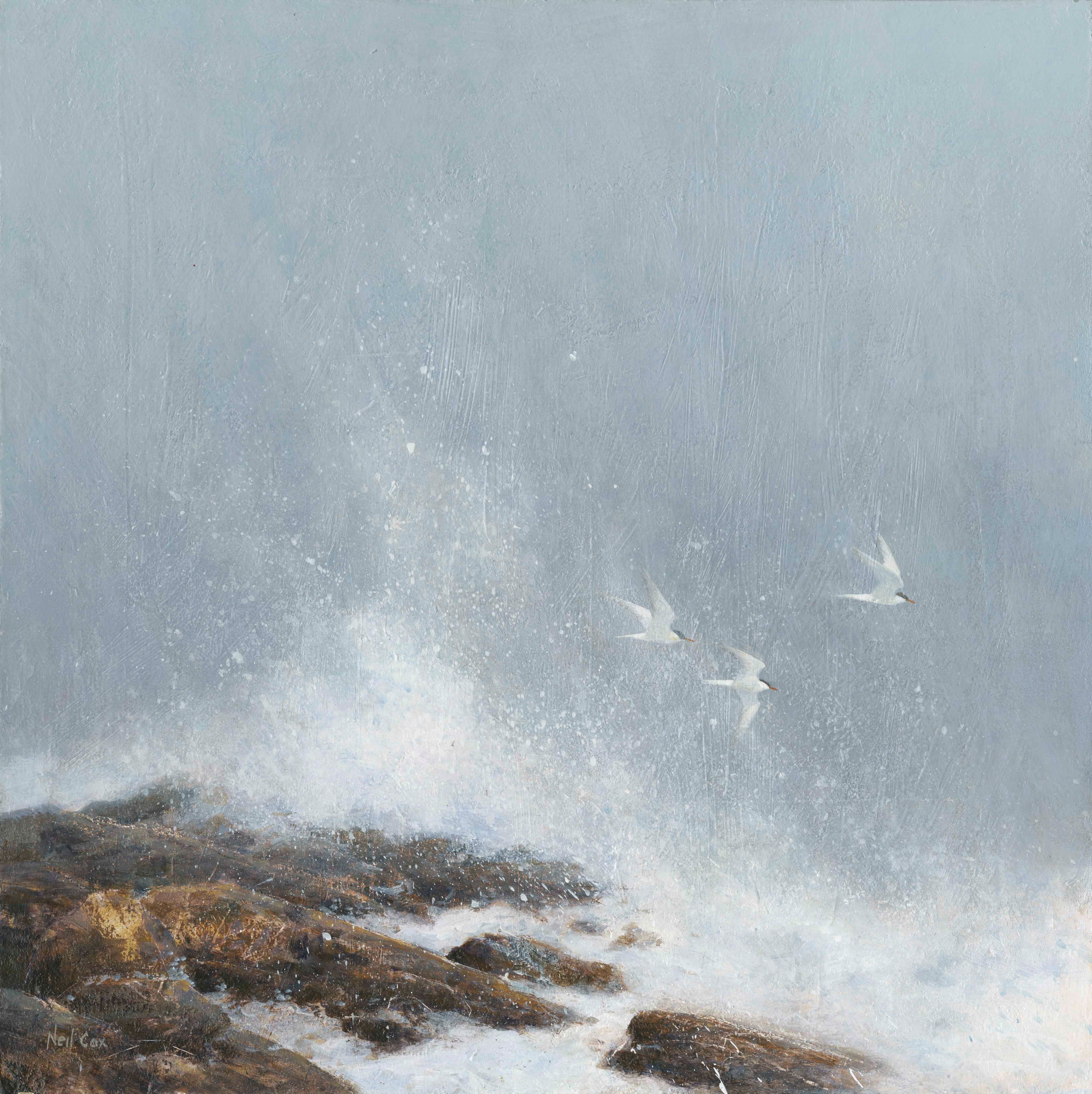 Into the Wind, Common Terns