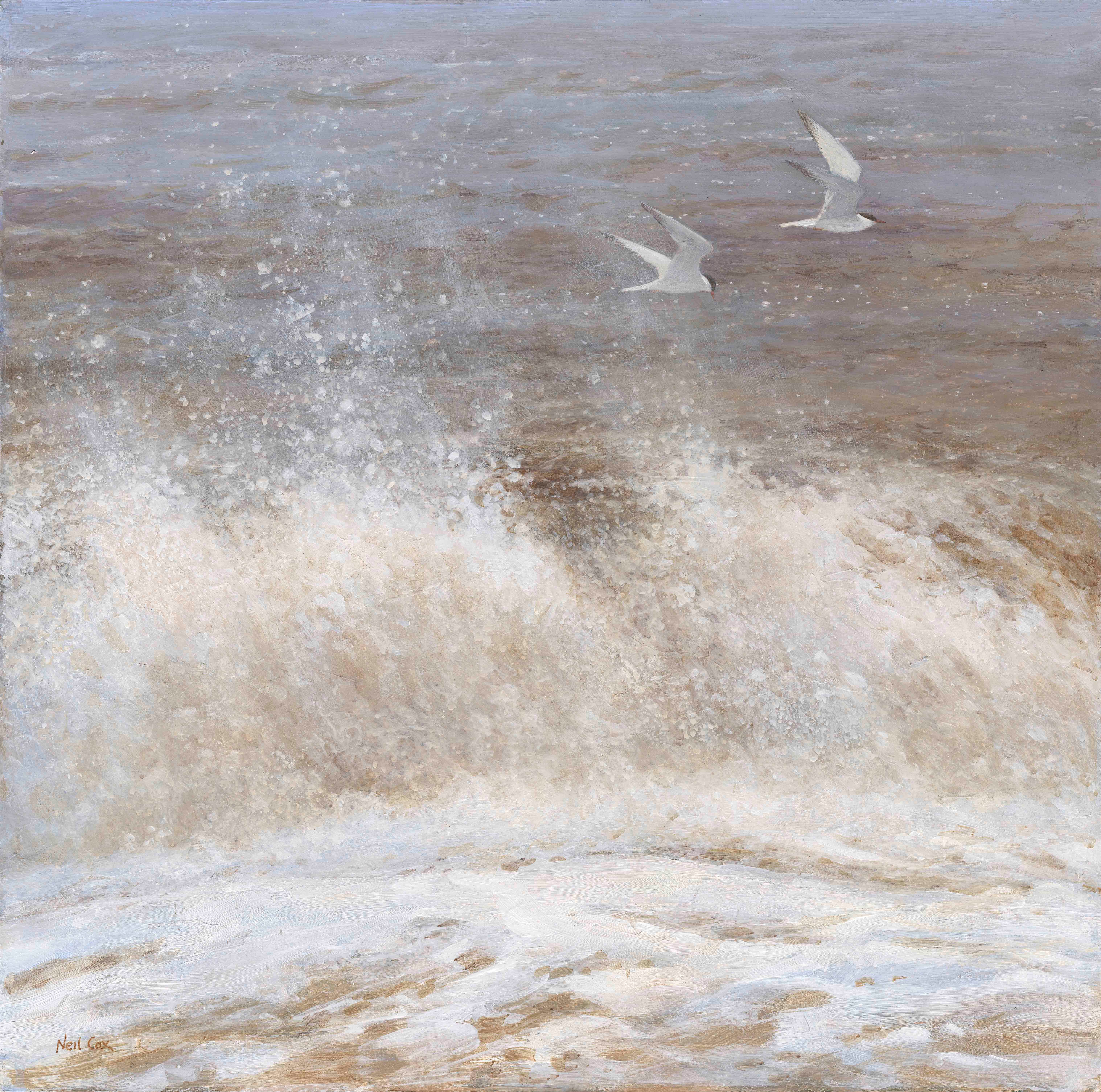 Wet and Wild, Common Terns