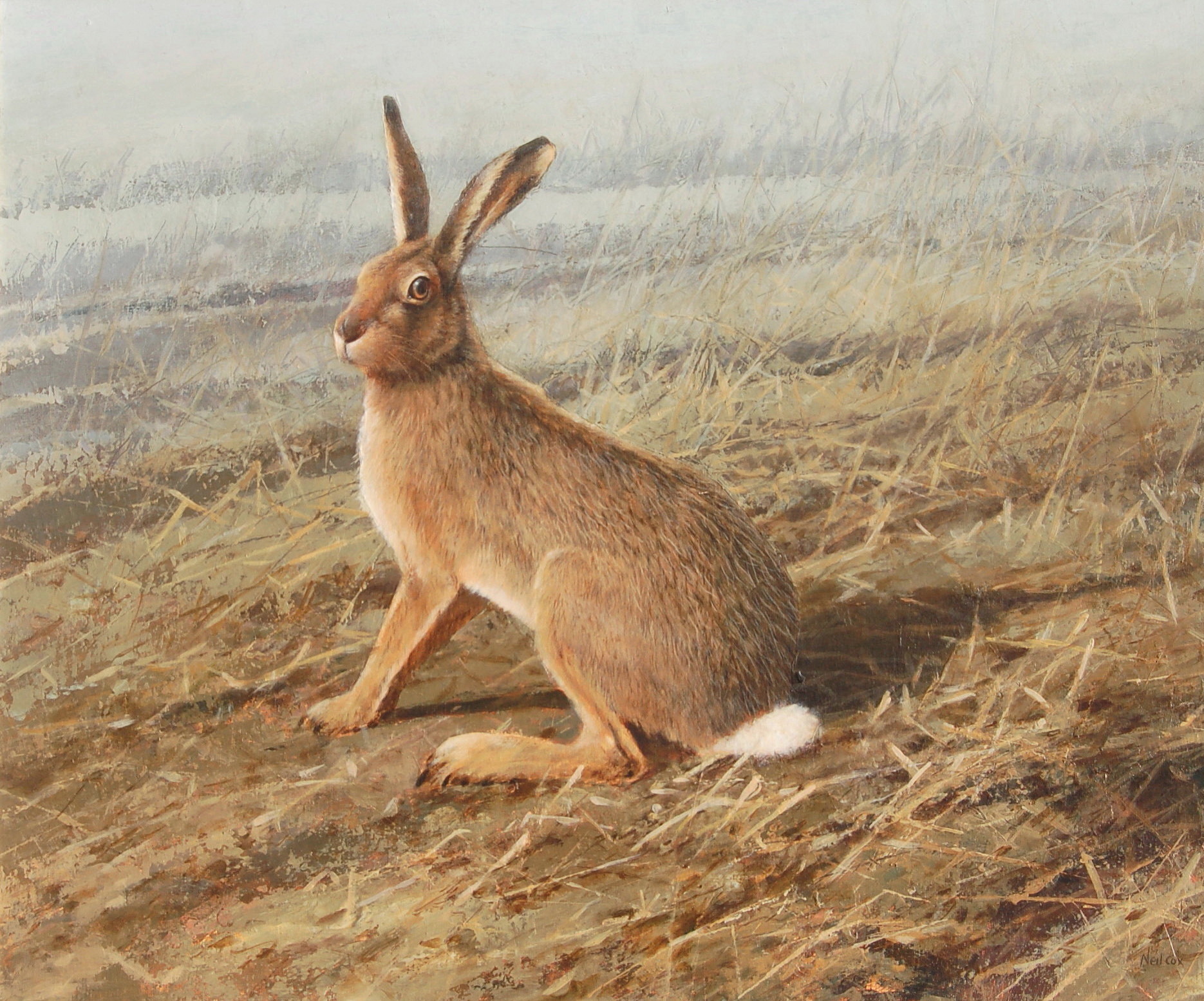 The Stubble Field, Brown Hare