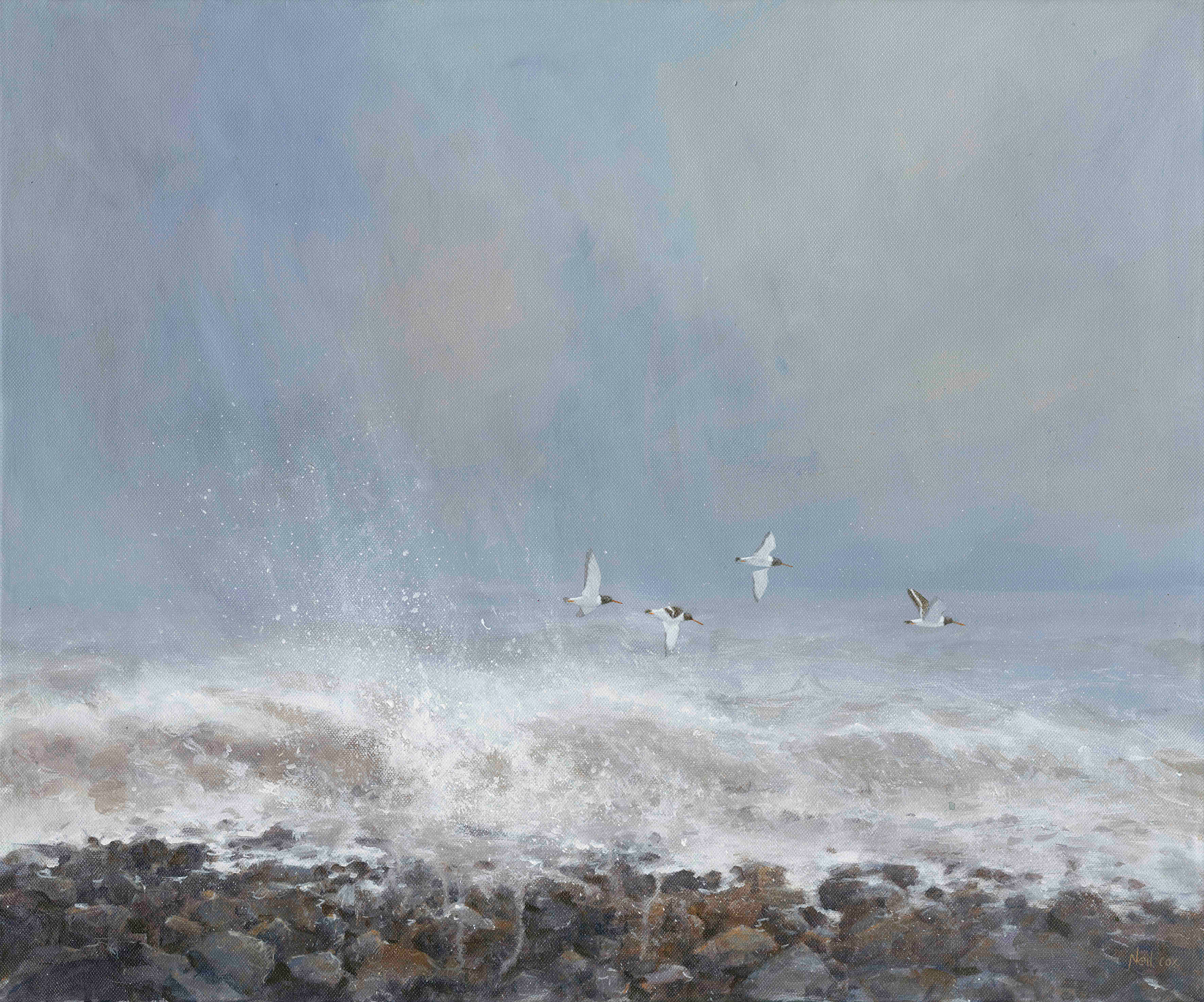 February Storms, Oyster Catchers