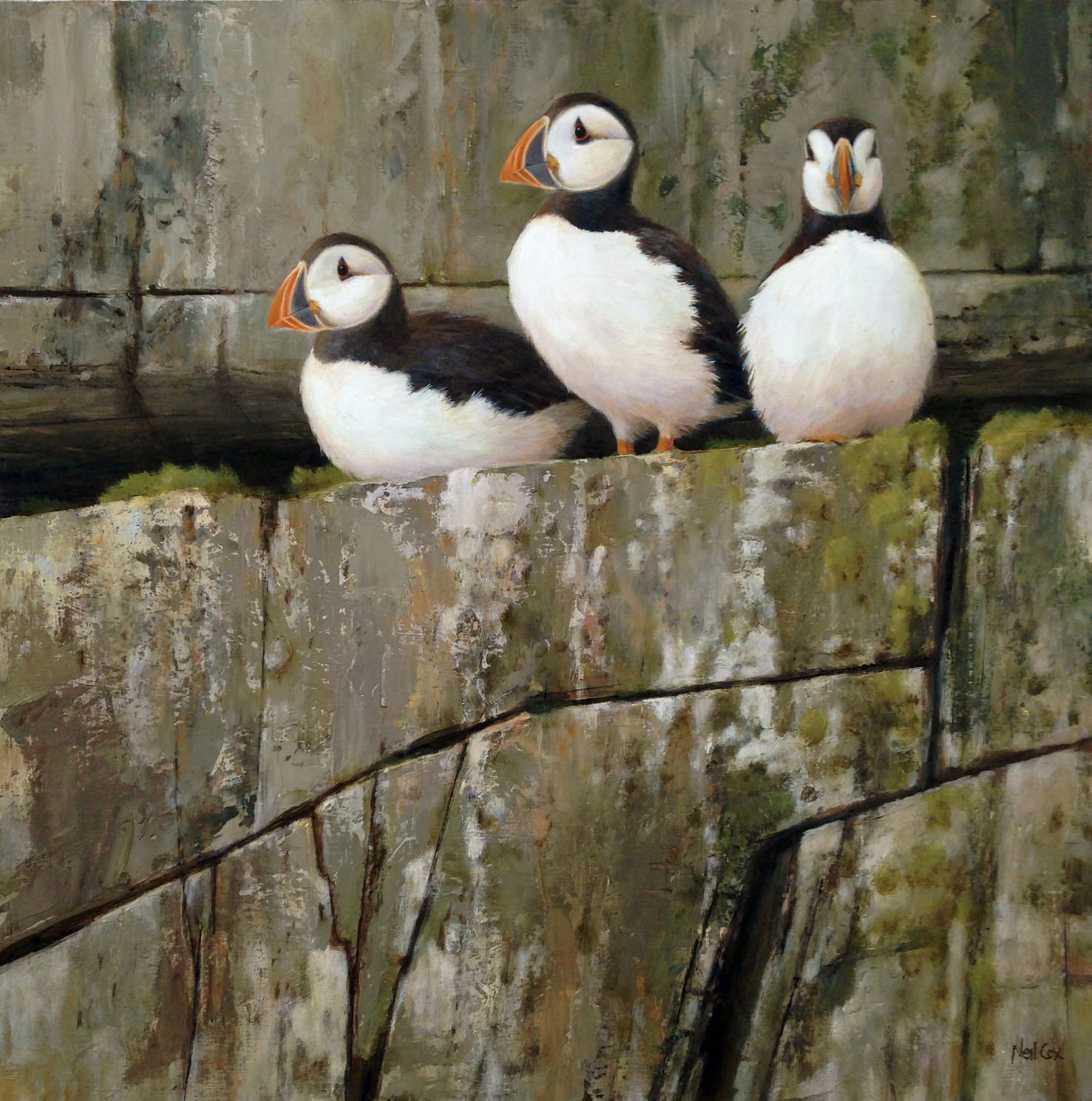 Skomer Puffins