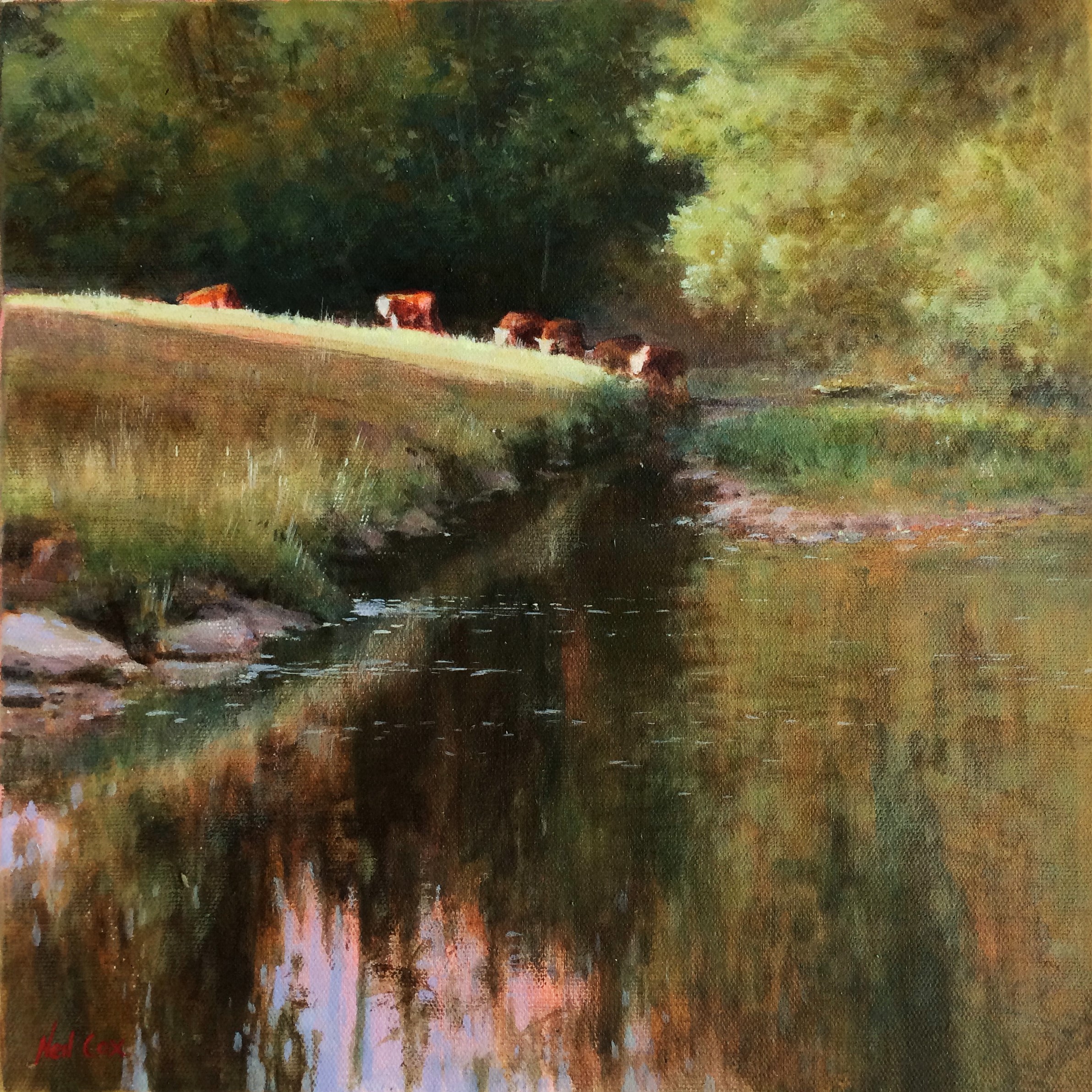 Sunny Evening - River Sid