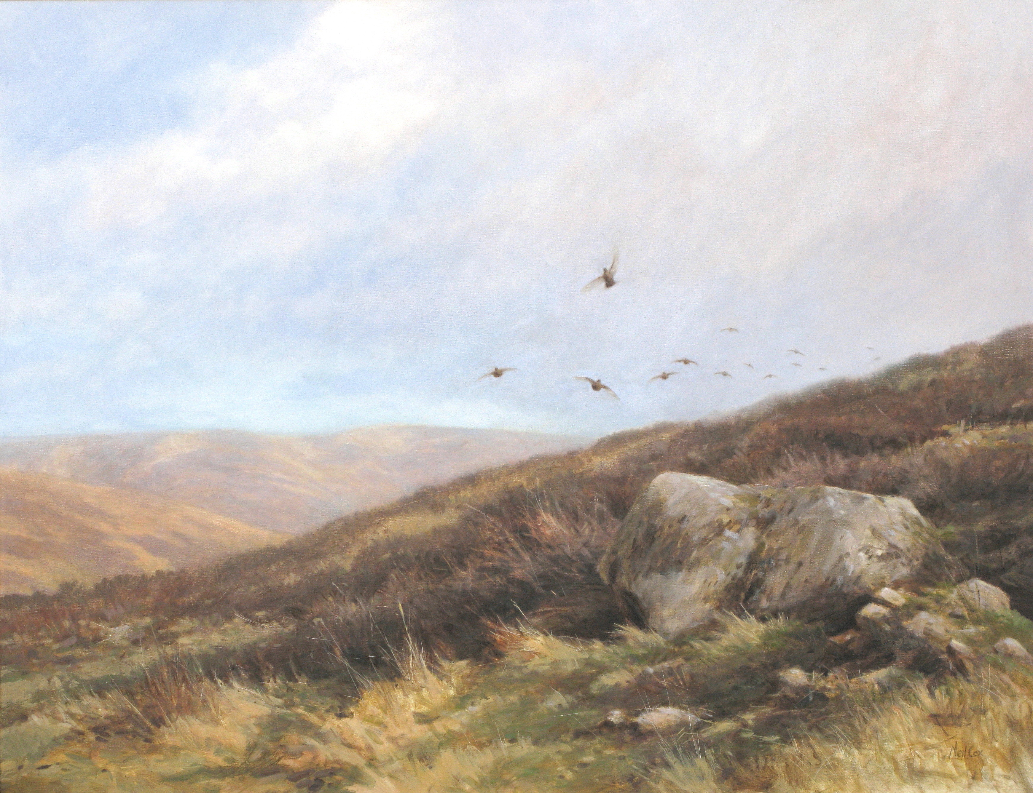 Over the Brow - Red Grouse