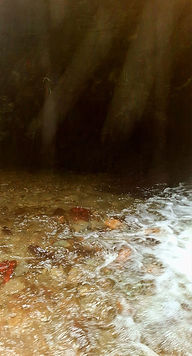 st nectan's hermitage in Cornwall, beautiful glen, high vibration energy.