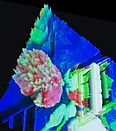 Amanda McGregor works as an artist in the journey of consciousenss and expression, this is one of her paintings projected on her house, a sense of deep connection to her home, in nurturing floral expression and magnifying her paintings illuminating the architecture of the house.