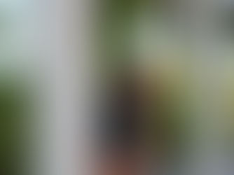 A letter from the outgoing 2025-26 managing editor