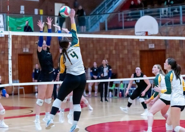 Chloe Little (#4) will continue studying at STU to follow her Master’s of Communications. (Submitted: Chloe Little)