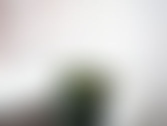 How the Grinch Stole a Plant