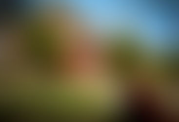 Echoes of the Mountain Bells: A Summer at Dechen Choekhor