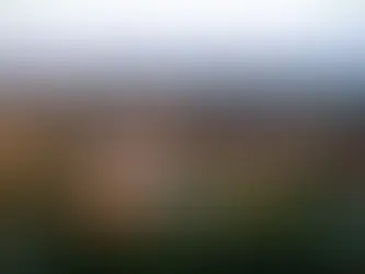 Explainer: Do university mergers save money? Experts assess proposed STU-UNB merger 