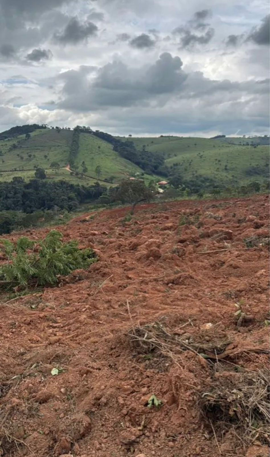 Miniatura: REGIÃO DE PIEDADE DOS GERAIS /MG