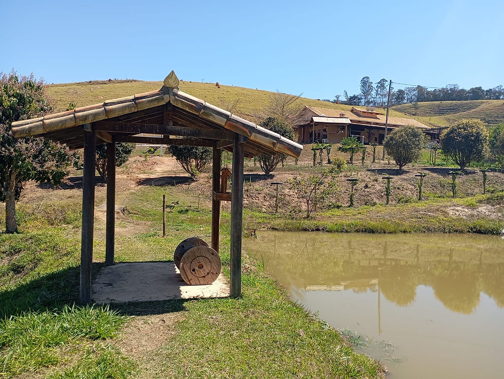 Miniatura: Fazenda em Piedade dos Gerais