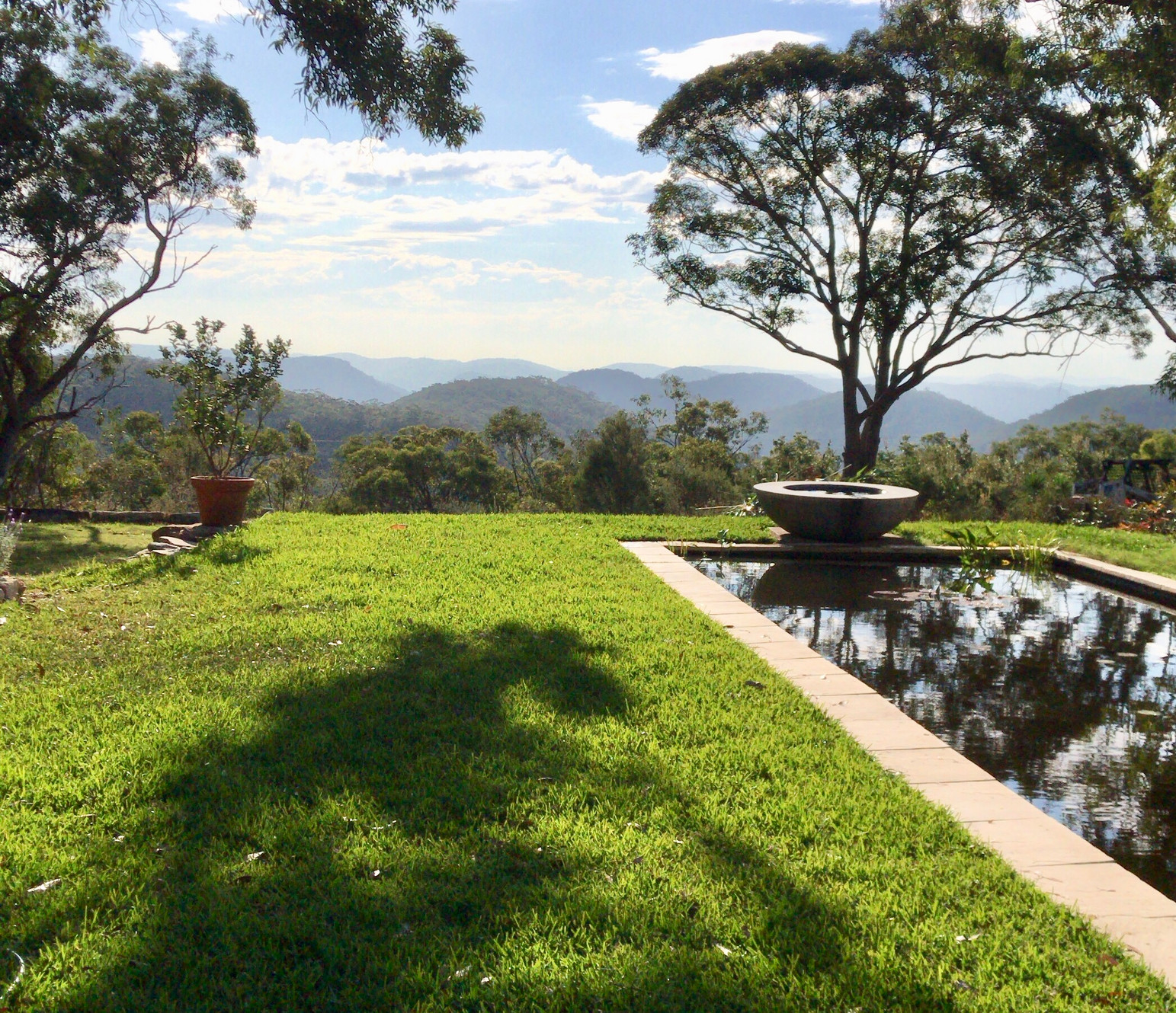 Austral Watergardens Water Plants Australia