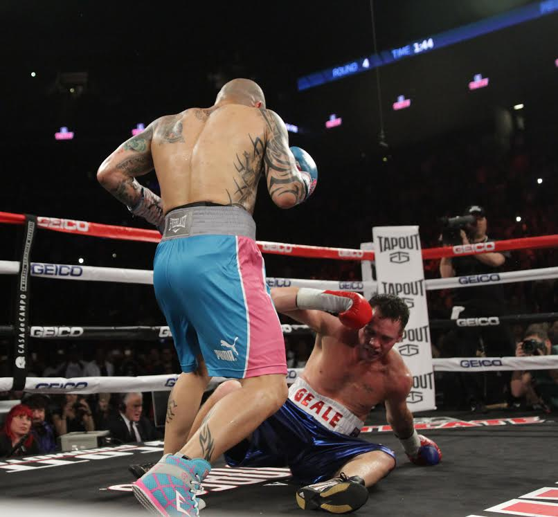 Cotto Geale.png